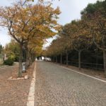 Buona Commemorazione dei Defunti