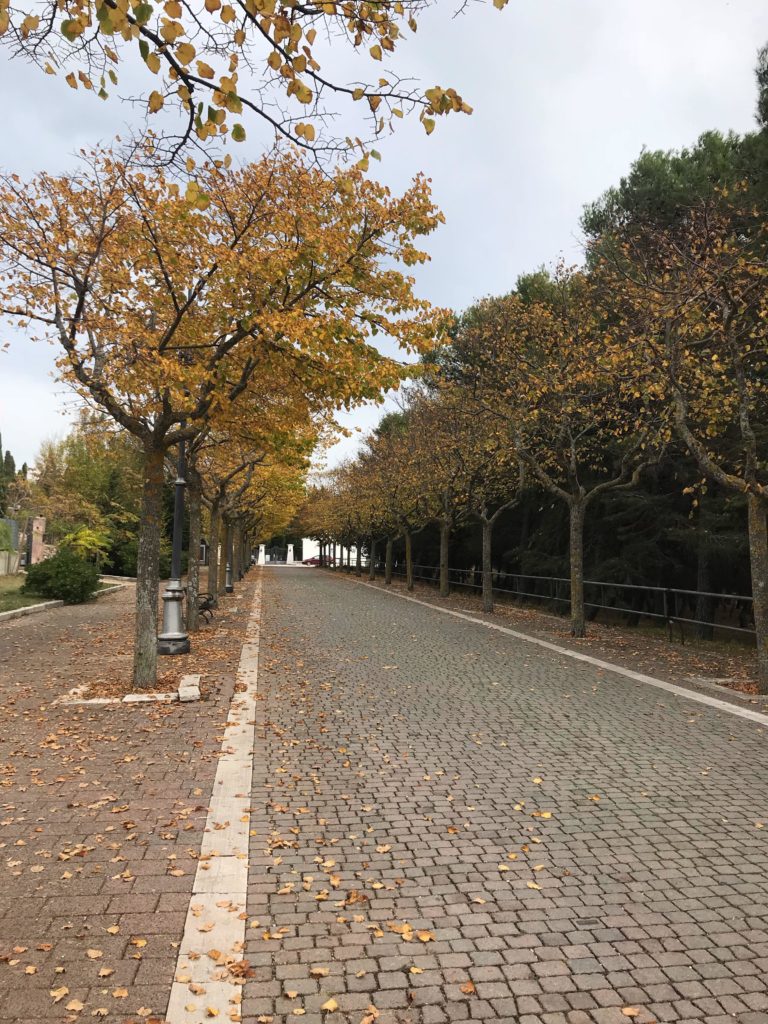 In occasione della Festività di Ognissanti e della Commemorazione dei Defunti, il Cimitero comunale di San Giovanni Rotondo resterà aperto con orario continuato