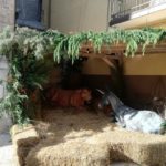 𝐒𝐜𝐨𝐩𝐫𝐢 𝐥𝐚 𝐦𝐚𝐠𝐢𝐚 𝐝𝐞𝐥 𝑷𝒓𝒆𝒔𝒆𝒑𝒆 𝑽𝒊𝒗𝒆𝒏𝒕𝒆 𝐧𝐞𝐥 𝐁𝐨𝐫𝐠𝐨 𝐀𝐧𝐭𝐢𝐜𝐨 𝐝𝐢 𝐒𝐚𝐧 𝐆𝐢𝐨𝐯𝐚𝐧𝐧𝐢 𝐑𝐨𝐭𝐨𝐧𝐝𝐨!