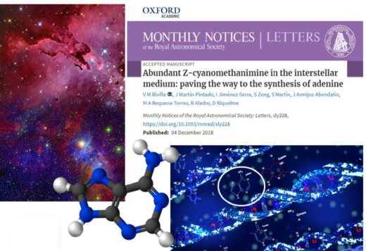 Siamo figli delle stelle?