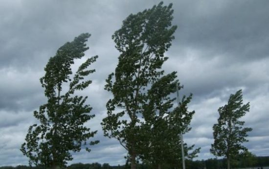 Allerta meteo per vento forte a San Giovanni Rotondo