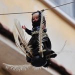 Pio Gravina del Museo Capuano ci parla della tradizione della Quarantana