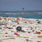 PUGLIA: NEL 2023 PLASTIC FREE ONLUS HA RIMOSSO DALL’AMBIENTE 47 TONNELLATE DI RIFIUTI E PLASTICA