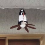 La Quarantana,una poesia del Poeta Sangiovannese Giovanni Scarale