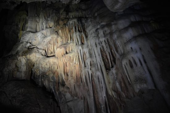 Gargano NaTour propone una giornata in masseria tra natura e gusto