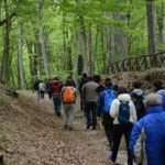Rispondi al questionario, per progettare insieme la mobilità del futuro sul Gargano