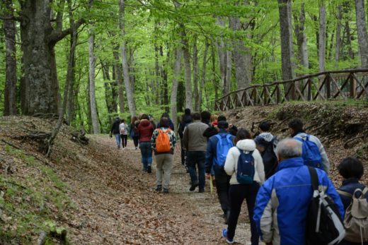 Domenica tornano le “Peregrinazioni botaniche” alla scoperta della Foresta Umbra