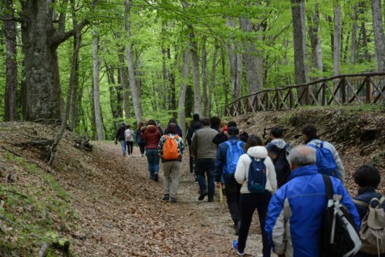 Rispondi al questionario, per progettare insieme la mobilità del futuro sul Gargano