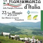 Lo spettacolo della transumanza sul Gargano