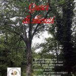 Lio fiorentino presenta il suo nuovo libro “Gusci di Silenzi”