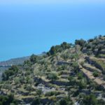 Orchestra Notte della Taranta a Mattinata venerdì 24 ottobre per FèXtra