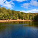 Foresta Umbra: i tour più belli d’autunno