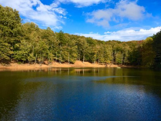 Foresta Umbra: i tour più belli d’autunno