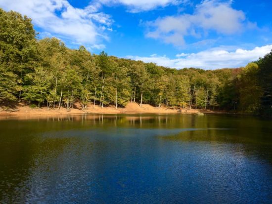 Foresta Umbra: i tour più belli d’autunno