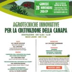 Agrotecniche innovative per la coltivazione della Canapa