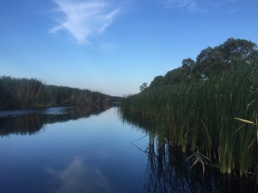 Al Centro Commerciale Gargano: il tour Meet&Greet con il cast della serie Rai “Mare Fuori”
