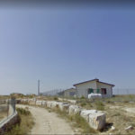 NUOVE CASETTE E ALBERI PER UN VITA PIÙ DIGNITOSA IN CANILE