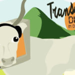 Grande successo della transumanza digitale