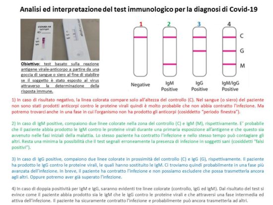 Analisi ed interpretazione del test immunologico per la diagnosi di Covid-19