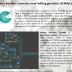 Effetto Pac-Man: quando il videogame incontra la scienza