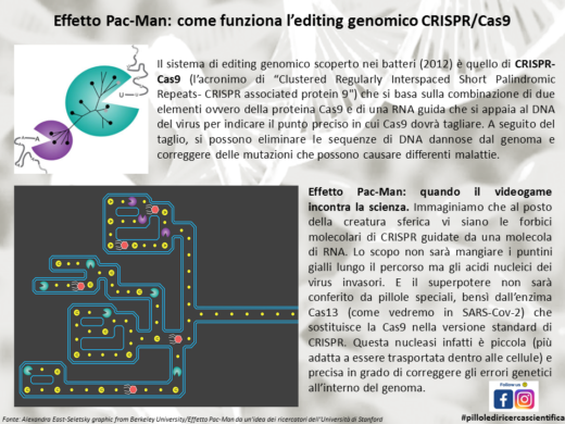 Effetto Pac-Man: quando il videogame incontra la scienza