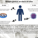 Terapie geniche in vivo e ex vivo