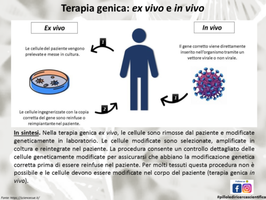 Terapie geniche in vivo e ex vivo