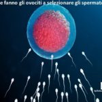 Come fanno gli ovociti a selezionare gli spermatozoi?