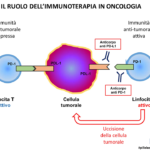 Il ruolo dell’immunitario in oncologia