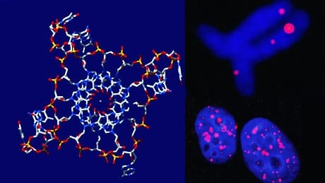 Il ricercatore sangiovannese Federico Fabrizio ci parla: del DNA a quadrupla elica