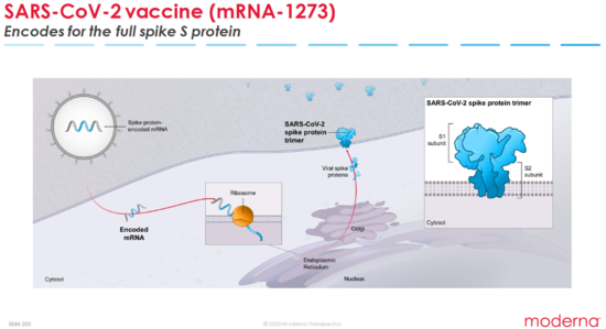 L’inizio del trial di fase 3: speranza e qualche certezza in più per il nuovo vaccino a base di mRNA per SARS-CoV-2