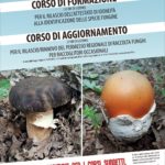 Corso di formazione di idoneità identificazione specie fungine