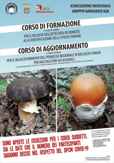 Corso di formazione di idoneità identificazione specie fungine