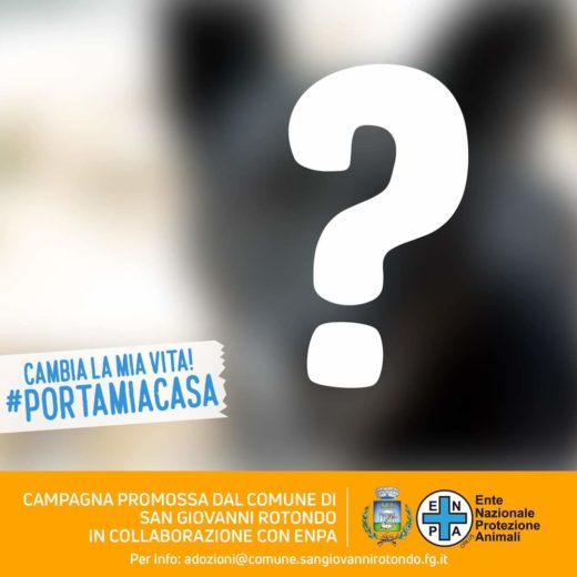 “Portami a casa”: è questo lo slogan della campagna di adozioni promossa dal comune di San Giovanni Rotondo