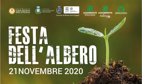 Il 21 novembre 2020 si celebra la Giornata nazionale dell’Albero