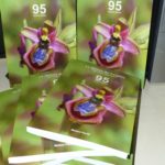 Matteo Perilli: presenta il suo nuovo libro sulle Orchidee del Gargano e gli insetti impollinatori