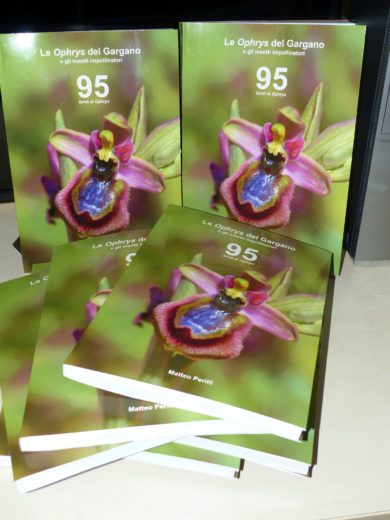 Matteo Perilli: presenta il suo nuovo libro sulle Orchidee del Gargano e gli insetti impollinatori