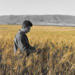 I grani antichi di Leonardo Petruccelli: Zilletta di Brancia, il mulino a pietra del Tavoliere tra magia e tradizione