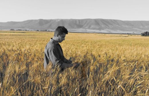 I grani antichi di Leonardo Petruccelli: Zilletta di Brancia, il mulino a pietra del Tavoliere tra magia e tradizione