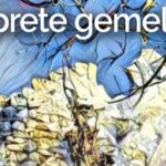 “Il Prete Gemello” il nono libro del giallista del Gargano