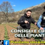 PIANTIAMO idee&natura presenta Leonardo Crisetti e Michele Russo guidano un intervento completo per rigenerare il prato dopo il freddo invernale