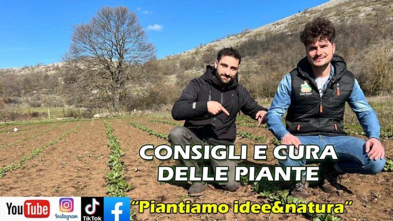 Dalla capra al formaggio: un’esperienza educativa alla Masseria Coppa di Mezzo