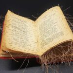 Fahrenheit 71013: sangiovannirotondofree inaugura una nuova rubrica a tema libri