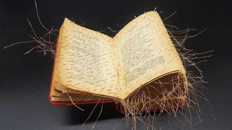 Fahrenheit 71013: sangiovannirotondofree inaugura una nuova rubrica a tema libri